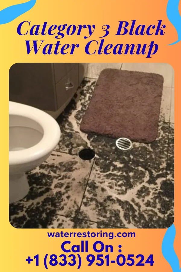 Category 3 Black Water Cleanup in Morley, MI