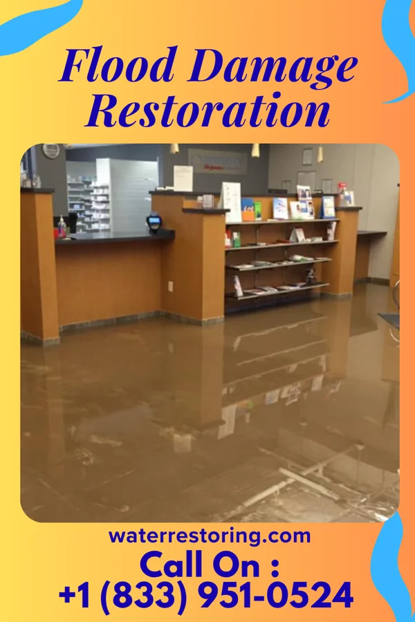Flood Damage Restoration in Morley, MI