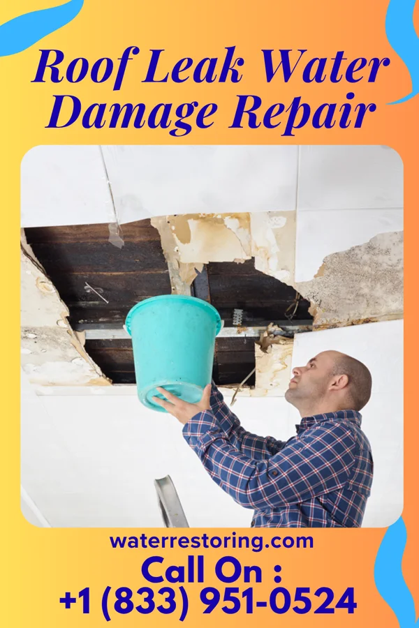 Roof Leak Water Damage Repair in Morley, MI