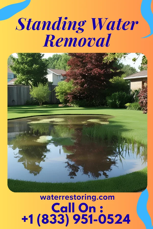 Standing Water Removal in Morley, MI